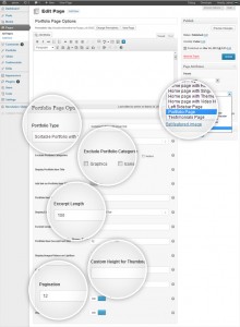 portfolio-page-options